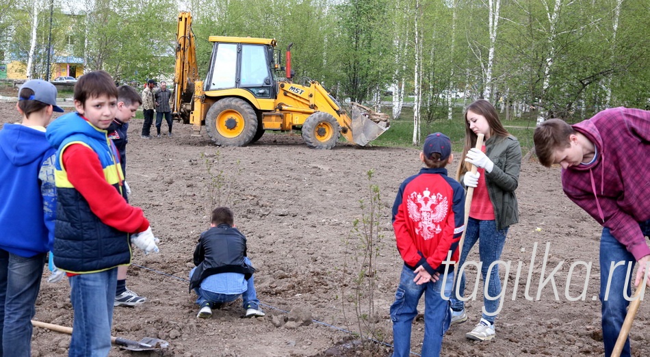 Парк Победы украсила венгерская сирень