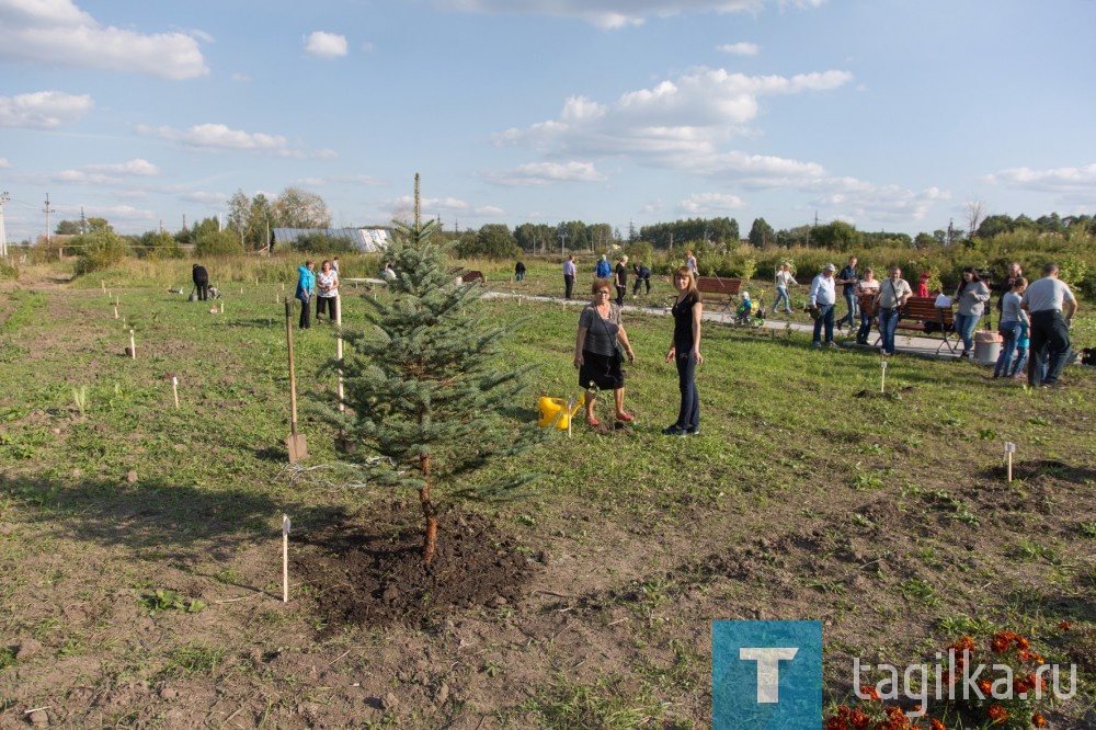 В ТОС «Пограничный» появился новый «Вишневый сад»