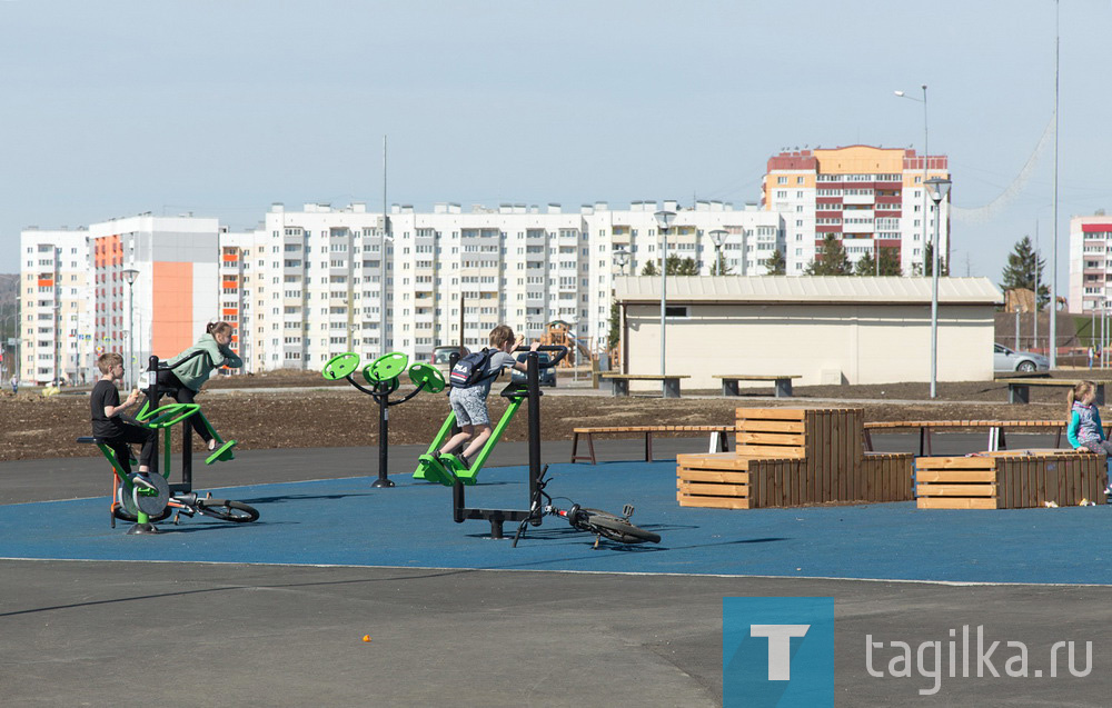 Парк на Муринских прудах в Нижнем Тагиле озеленят