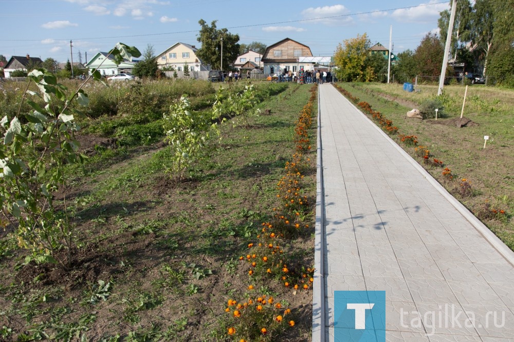 В апреле 2018 года на территории, определенной под фруктовый сад, жителями территории были проведены 7 субботников. Выполнены работы по планировке территории, вспашке земли; завезены щебень, земля и песок, установлены бордюры, уложена тротуарная плитка, оформлена входная группа. В августе 2018 года по инициативе Совета Ассоциации руководителей ТОС города Нижний Тагил состоялся субботник, на котором председатели ТОС высадили первые в Вишневом саду кустарники.