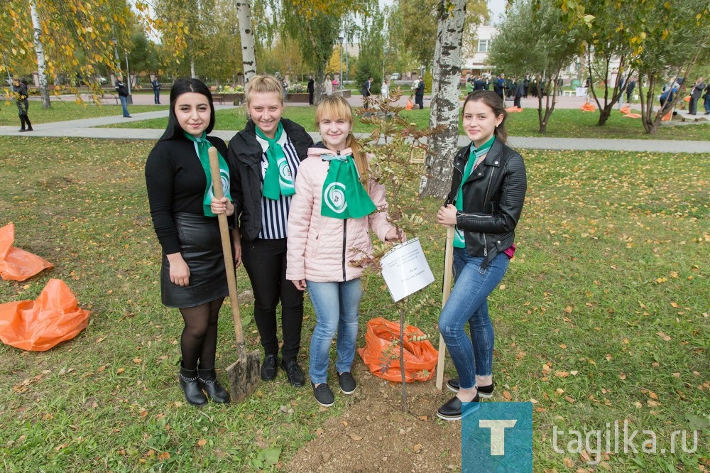 В Нижнем Тагиле высадили аллею победителей