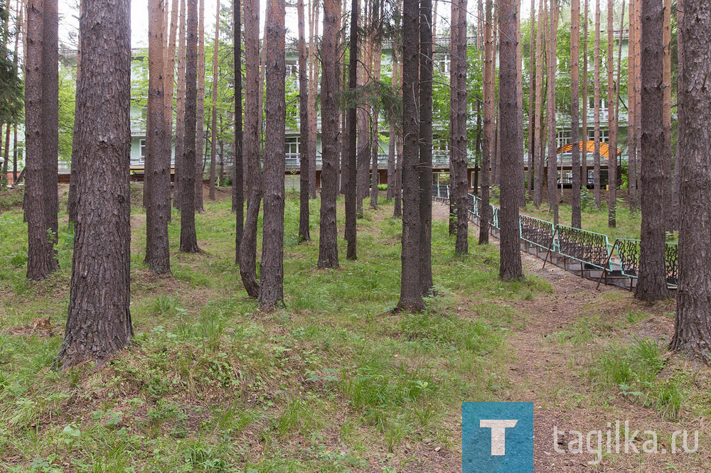 Все загородные оздоровительные учреждения Нижнего Тагила подтвердили готовность к приему детей