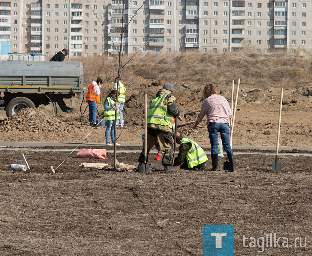 Парк на Муринских прудах в Нижнем Тагиле озеленят