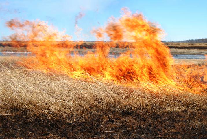 В Нижнем Тагиле в апреле произошло 172 пожара