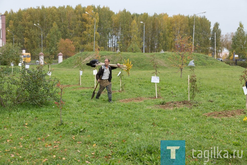 В Нижнем Тагиле высадили аллею победителей