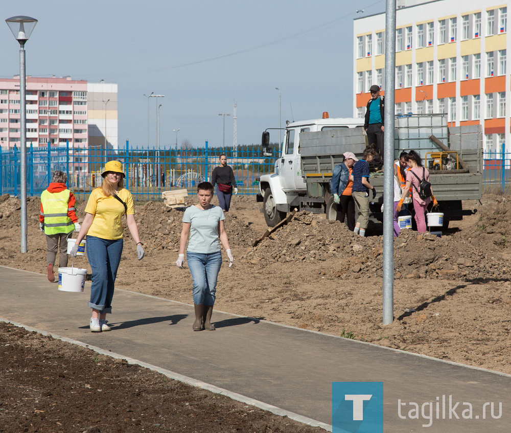 Парк на Муринских прудах в Нижнем Тагиле озеленят