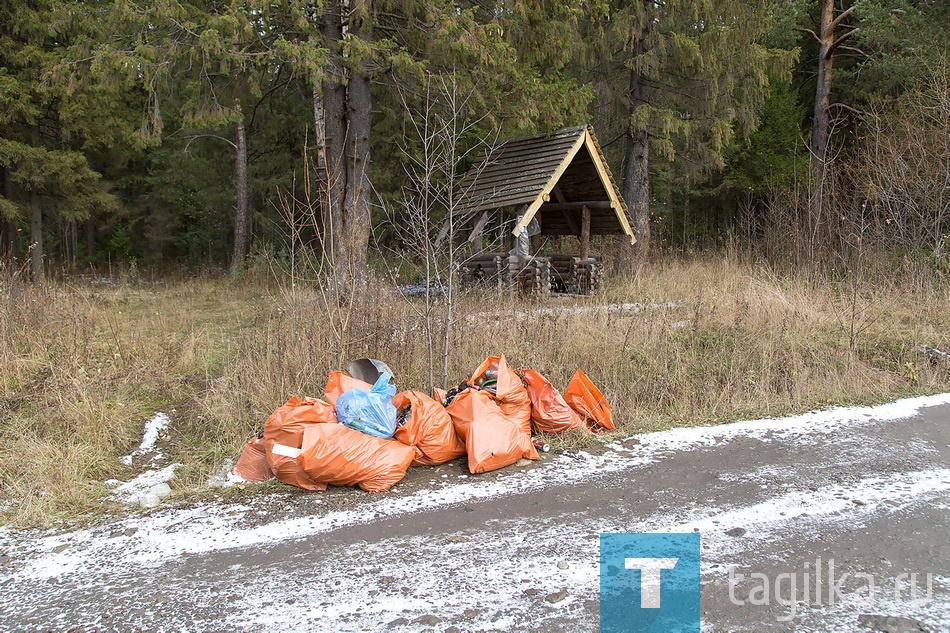 В лесу у "Спартака"