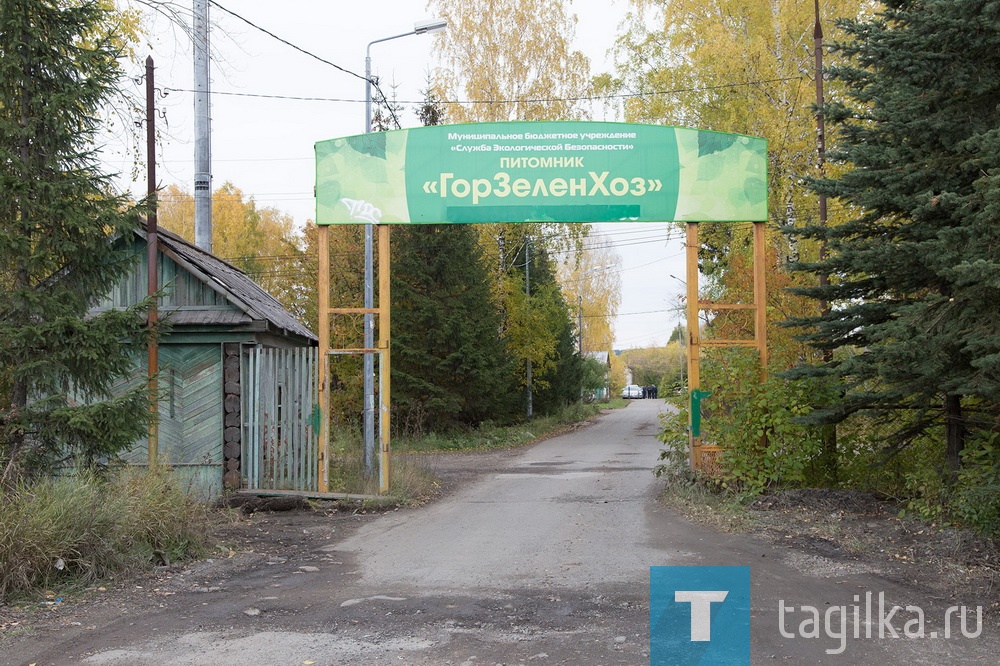 Глава города Владислав Пинаев в рамках объезда Ленинского района посетил муниципальное бюджетное учреждение «Служба экологической безопасности». Мэр побывал в питомнике «Горзеленхоза», пообщался с руководством и сотрудниками, занимающимися вопросами природоохраны Нижнего Тагила.