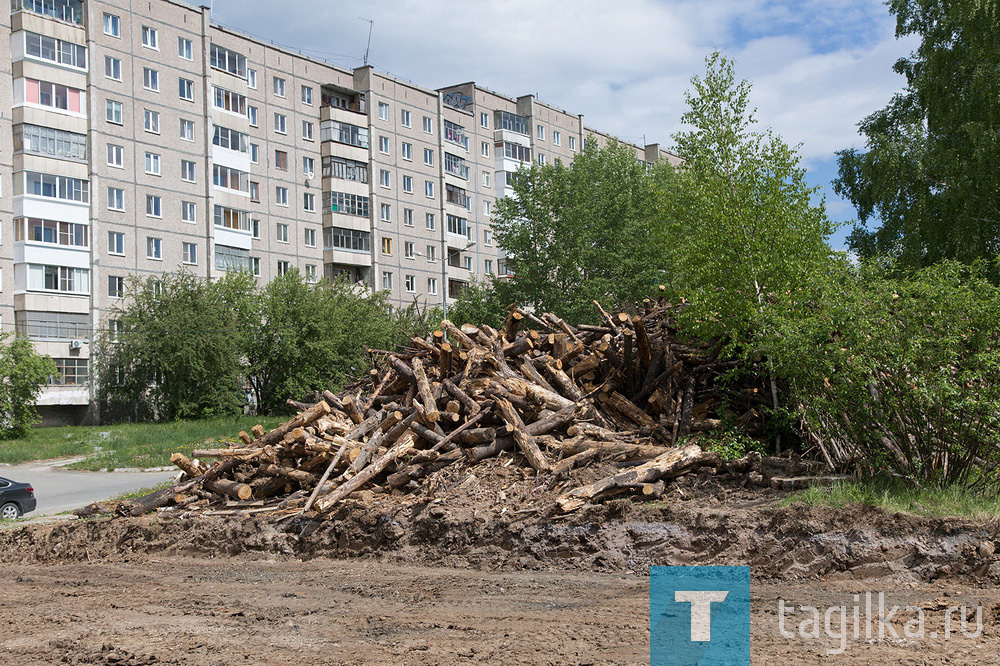 Комплексное благоустройство общественной территории Площади Танкостроителей и лесопарковой зоны Пихтовые горы