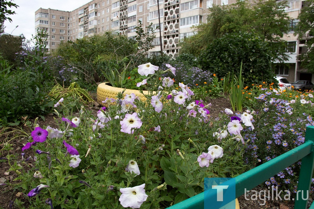 А в первом подъезде у них Африка