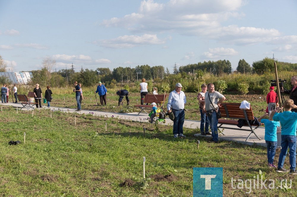 В ТОС «Пограничный» появился новый «Вишневый сад»