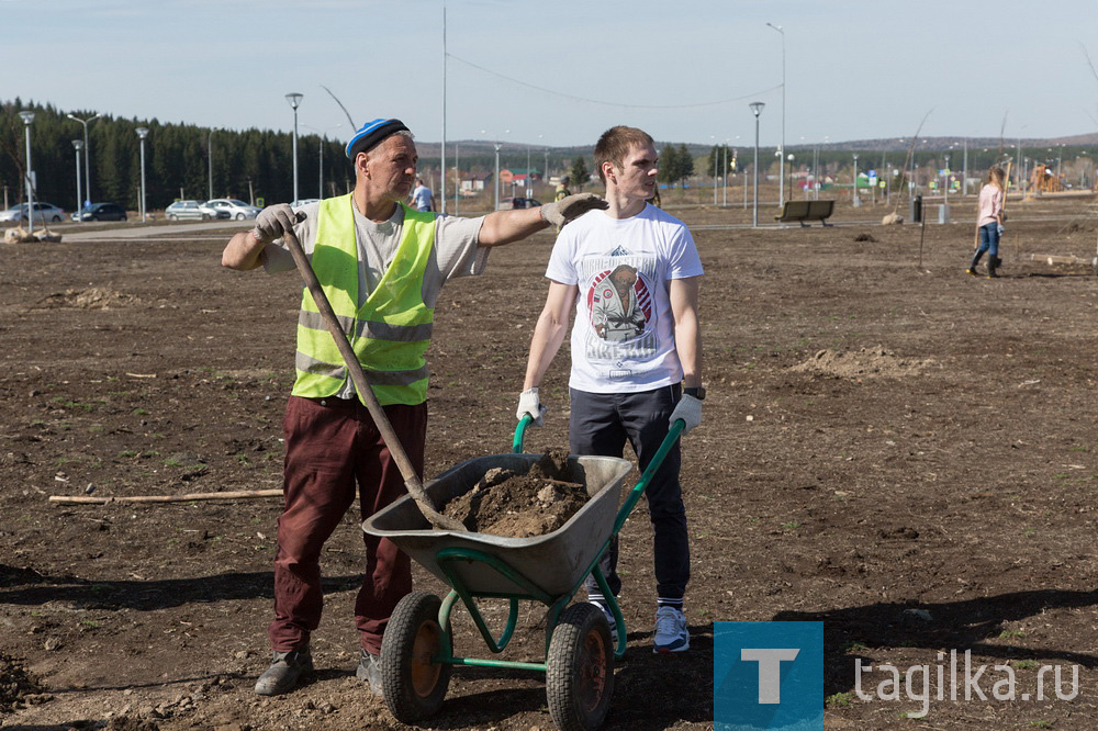 Парк на Муринских прудах в Нижнем Тагиле озеленят