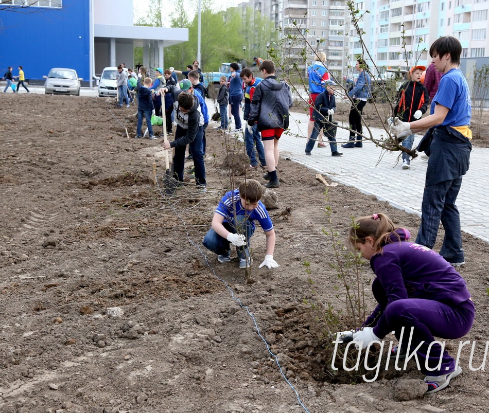 Парк Победы украсила венгерская сирень

Этой весной в Нижнем Тагиле прошло несколько крупных акций по озеленению. Венгерская сирень и лиственницы появились на улице Победы, липы, дубы и ели – на площади Славы. В нескольких поселках около обелисков павшим в годы Великой Отечественной
войны в преддверии 9 Мая посадили дубы. На улице Октябрьской революции теперь будут радовать прохожих кусты спиреи. На очереди – площадь Танкостроителей на Вагонке.