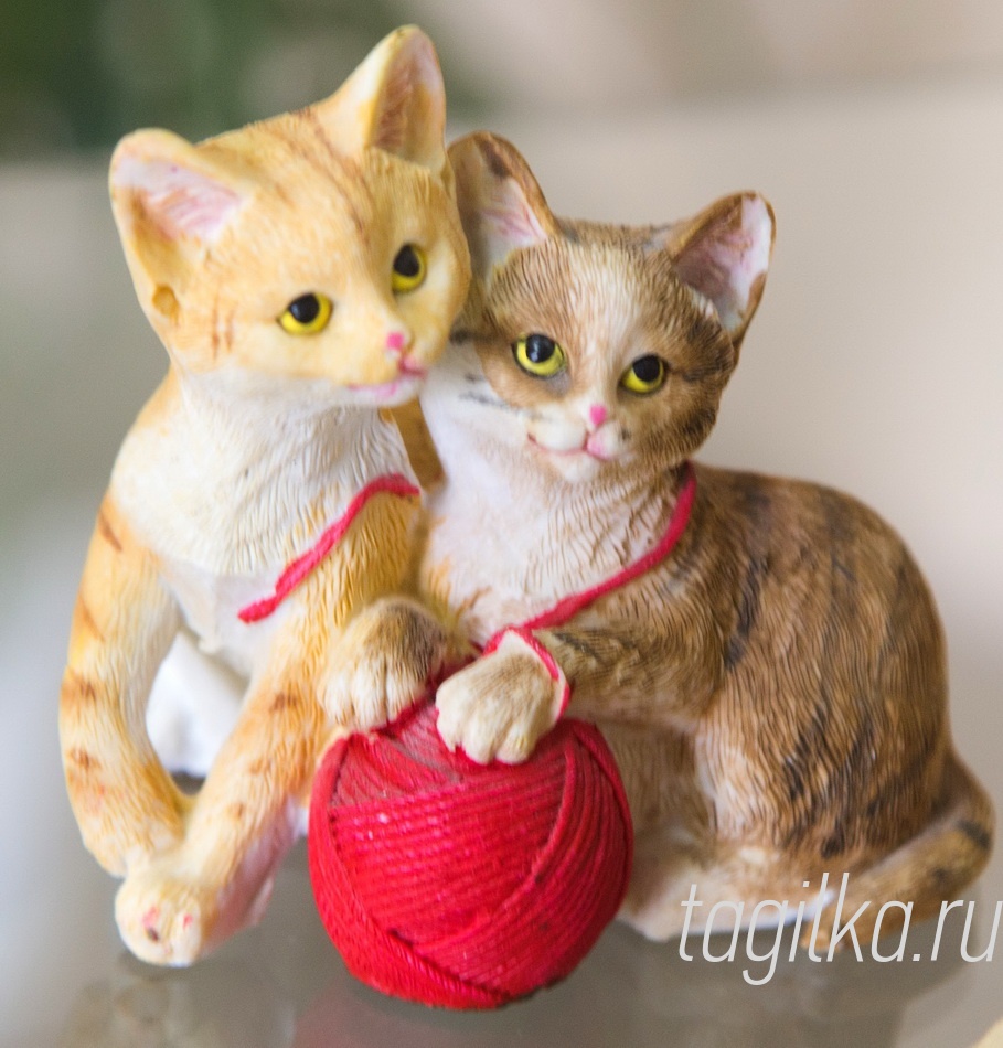 «Кошки - это кошки»