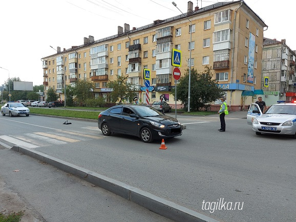 В последний день июля в Нижнем Тагиле попал под колеса юный велосипедист