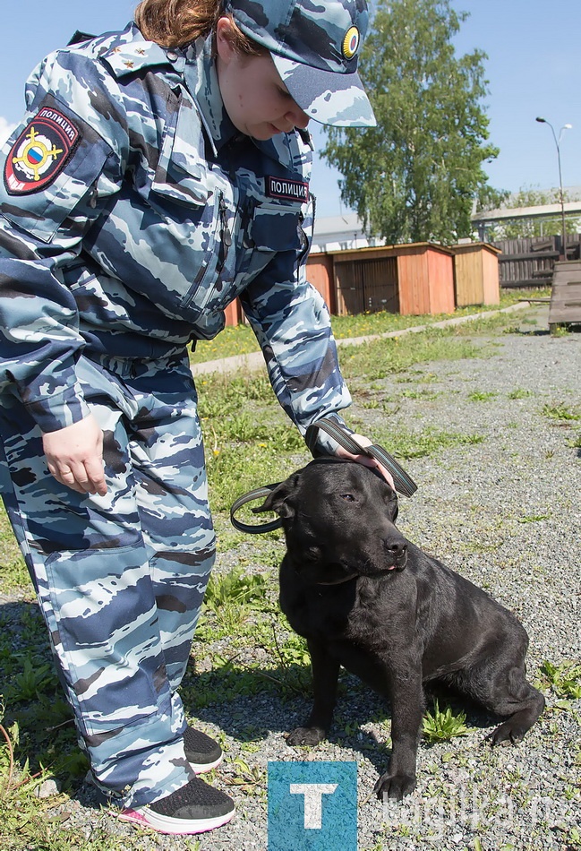 Старший лейтенант полиции, инспектор - кинолог Ольга Колотыгина, работает в кинологическом центре последние три года. В полиции - с 2012 года. До этого была учителем, но так получилось, что однажды жизнь круто развернулась, и Ольге пришлось оставить карьеру преподавателя ради службы в системе МВД. Нынешняя профессия ей очень нравится. Признается, что своей собаки пока нет, но, как только маленькие дети Ольги подрастут, в семье Колотыгиных обязательно появится четвероногий друг. Скорее всего, это будет немецкая овчарка - умная, покладистая и дружелюбная, или лабрадор, добрый и умный. Больше всего о собаке мечтает младшая трехлетняя дочь Ольга.

- Начинается все с первого знакомства с собакой, - рассказывает Ольга. – Сначала к ней присматриваешься: как она себя ведет, на что реагирует. Многие животные любят лакомство, другие - бегать, третьи - не могут жить без любимой игрушки, например, резинового мяча. С кем-то нужно строго говорить, а кто-то любит ласку и добрый голос. 
