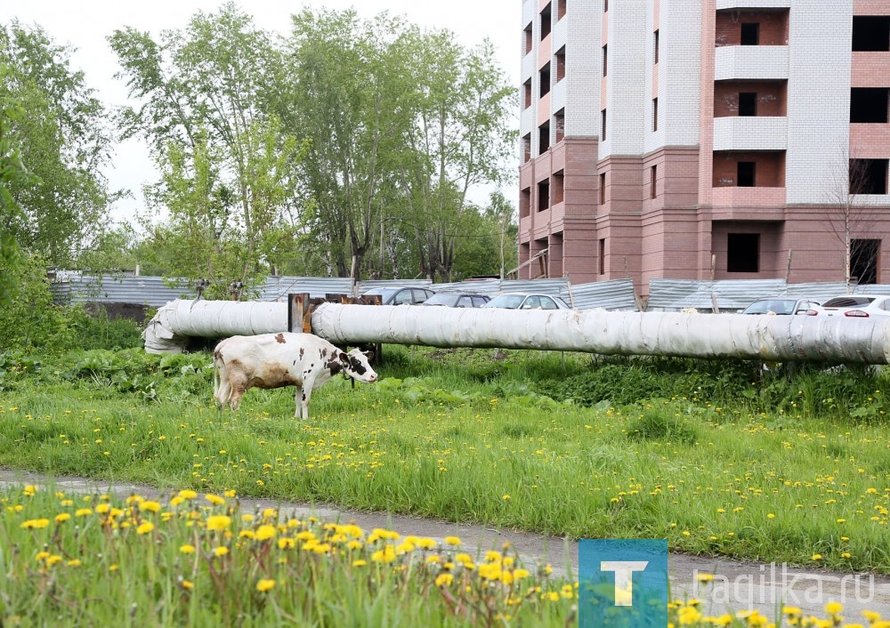 Объезд корреспондентами Т.Р.по благоустройству улиц и дорог города