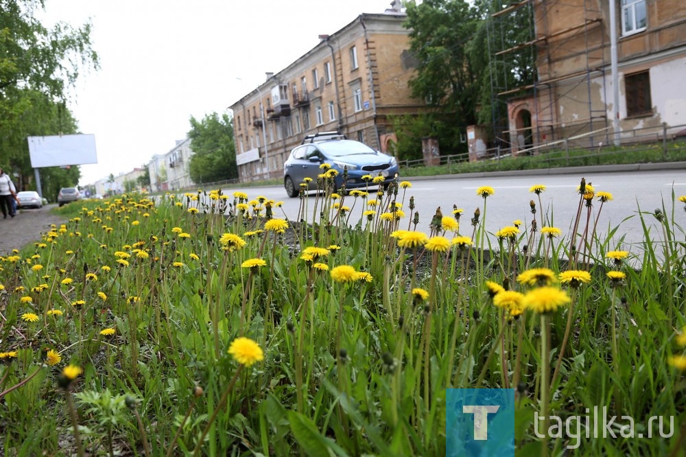 Объезд корреспондентами Т.Р.по благоустройству улиц и дорог города