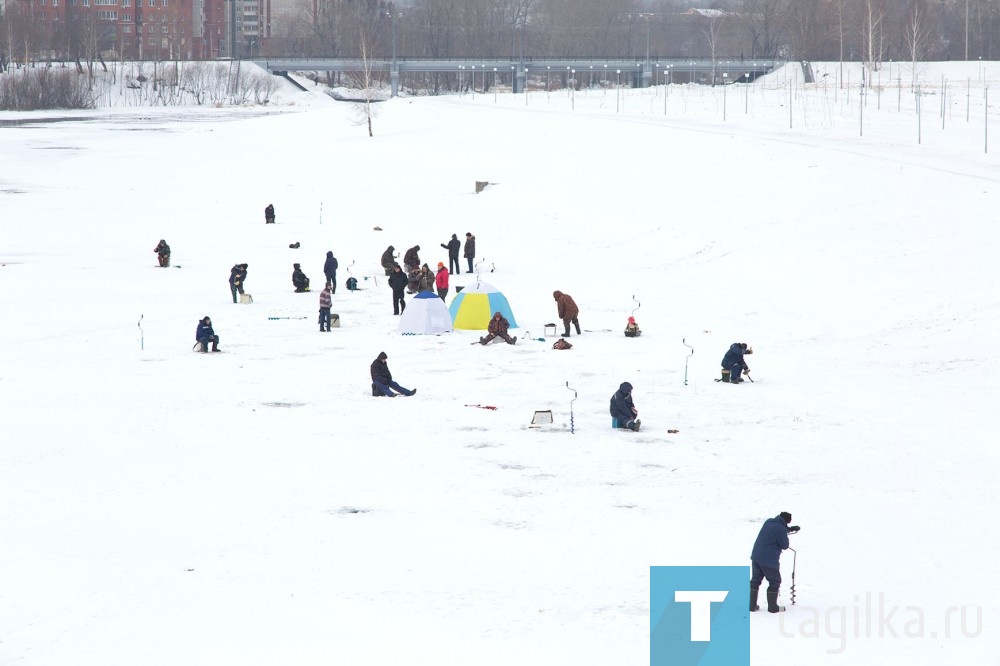 "Прогулка в парке"