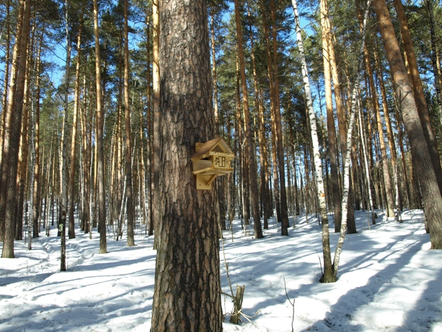 Калиновский лесопарк екатеринбург карта