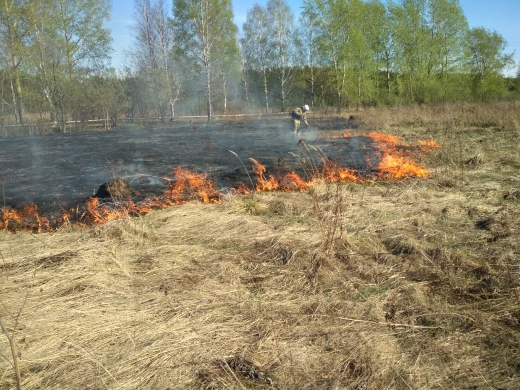 В Нижнем Тагиле и Пригороде существует угроза лесных пожаров из-за поджогов сухой травы  

 