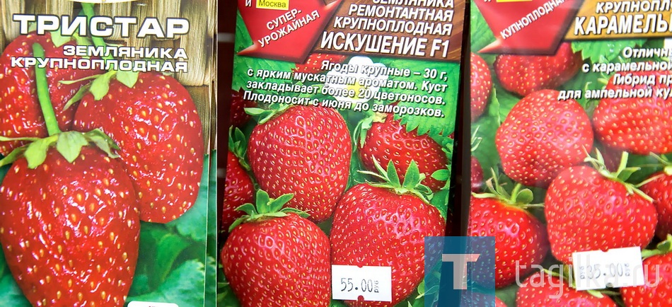 - В современном садоводстве производители предлагают большое количество специально обработанных семян, которые упрощают предпосевной процесс обработки, то есть применяется принцип: взял семена и посадил, - рассказывает Василий Гришков. - Это очень удобно, но у всех видов обработок есть свои особенности, что напрямую влияет на способы посадки и первичного ухода. 