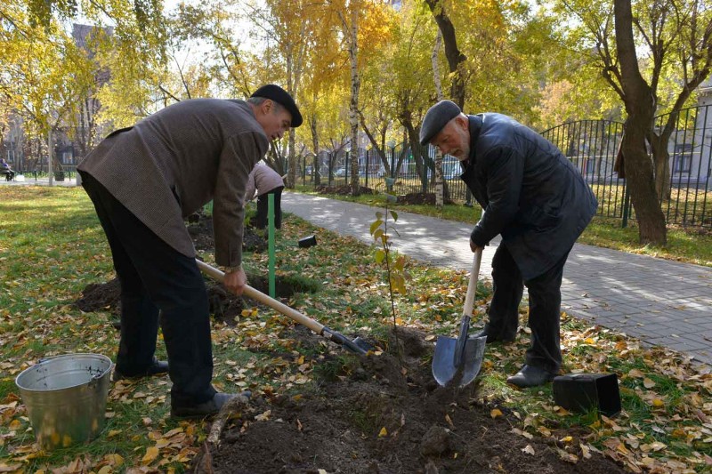 За аллеей "Детей войны" присмотрят ребята из ГДДЮТ