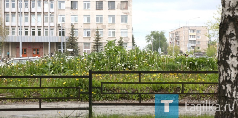 Объезд корреспондентами Т.Р. по благоустройству улиц и дорог города