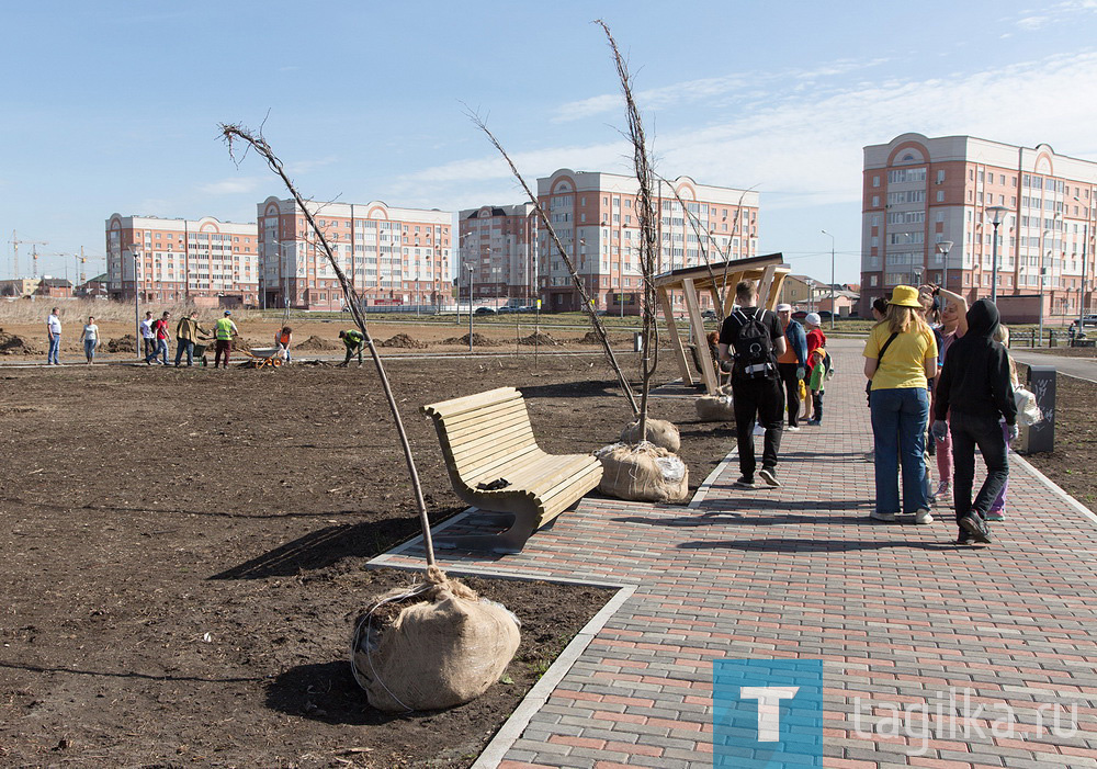 Парк на Муринских прудах в Нижнем Тагиле озеленят