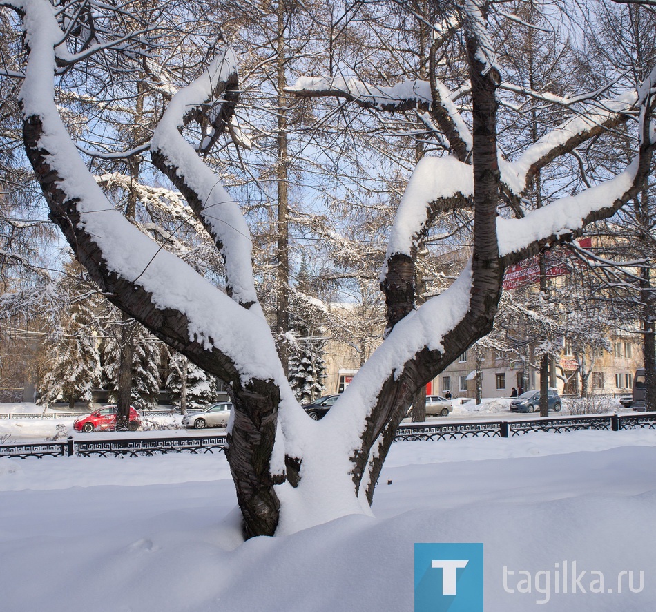 Первый день Зимы