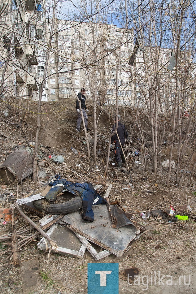 Городской субботник - 2017