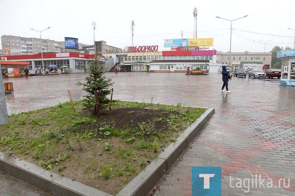 Торговая площадь на Зари, 21 после реконструкции