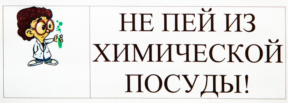 Станция юных натуралистов.Ботаника.Учеба. Эксперимент.