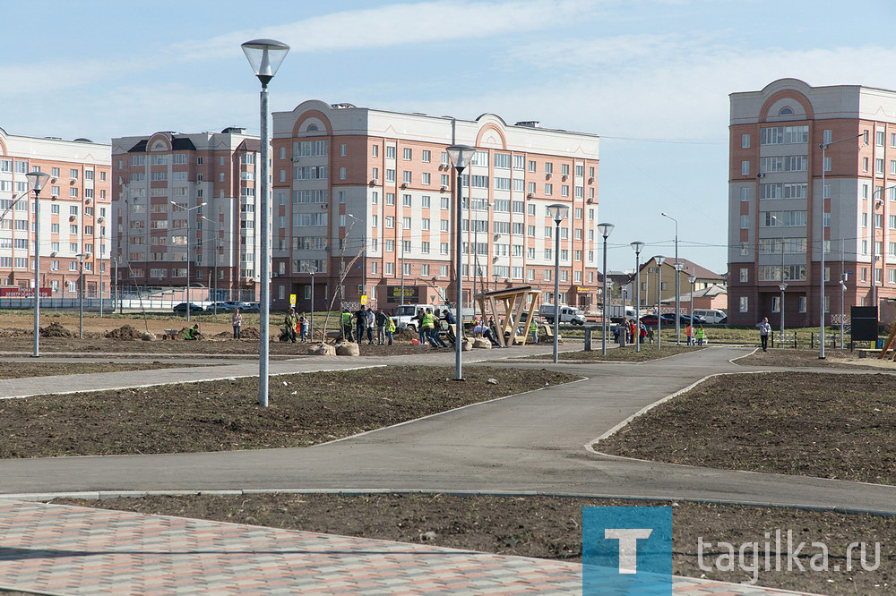 Парк на Муринских прудах в Нижнем Тагиле озеленят