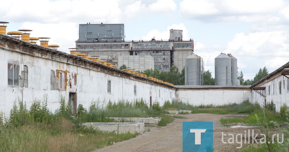 Агрокомплекс "Горноуральский"