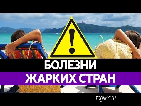 Осторожно: Денге и Зика