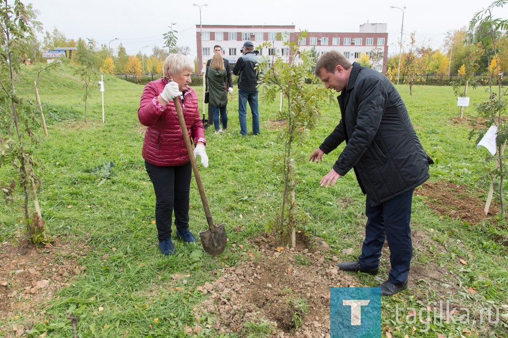 В Нижнем Тагиле высадили аллею победителей