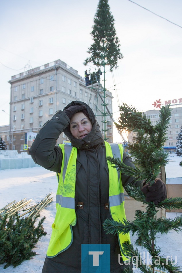 - Вначале на растяжках установили ствол, затем металлические стержни с капроновой хвоей, - поясняет мастер монтажного эксплуатационного участка МБУ «Сигнал» Сергей Загребельный. - На высоте работают монтажники – Дмитрий Рязанцев и Павел Кузеря, внизу, под елью, – женская бригада расправляет ветки и сортирует их по размеру. 
- Пальцы замерзли – спасу нет, не подготовилась я сегодня к работе на таком морозе, - сетует техник Марина Латыпова. – Думала, выйду, помогу нашим ребятам, общее дело ведь делаем, и к сроку нужно управиться. Оказалось – на несколько часов эта работа затянулась. Греться нам есть где – в кабине автовышки, но стараемся закончить работу поскорее. 