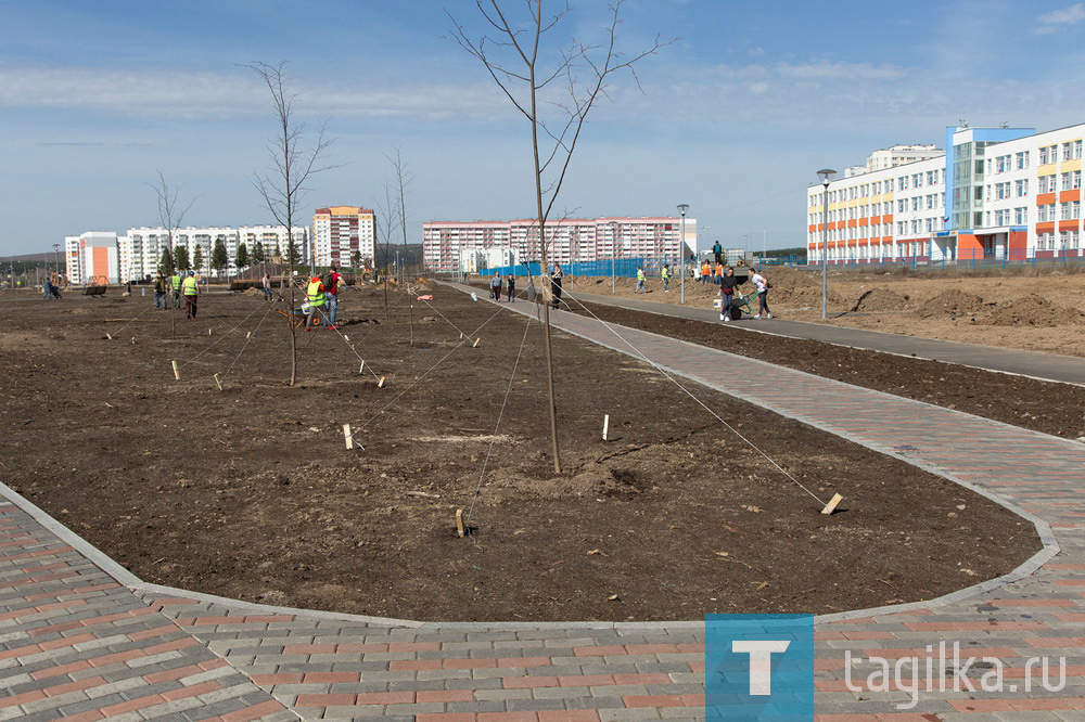 Парк на Муринских прудах в Нижнем Тагиле озеленят