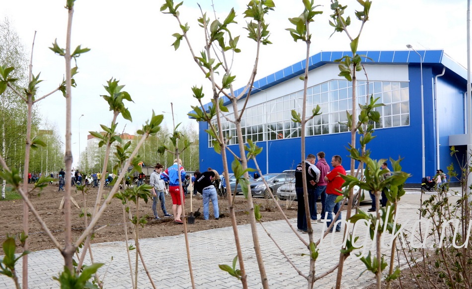 Парк Победы украсила венгерская сирень

Новый спортивно-оздоровительный комплекс стал украшением Гальянки.Скоро здесь зазеленеют сирень и трава, и ничто не будет напоминать о стройке.

Текст Татьяны Шарыгиной.