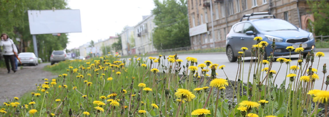 Объезд корреспондентами Т.Р. по благоустройству улиц и дорог города 