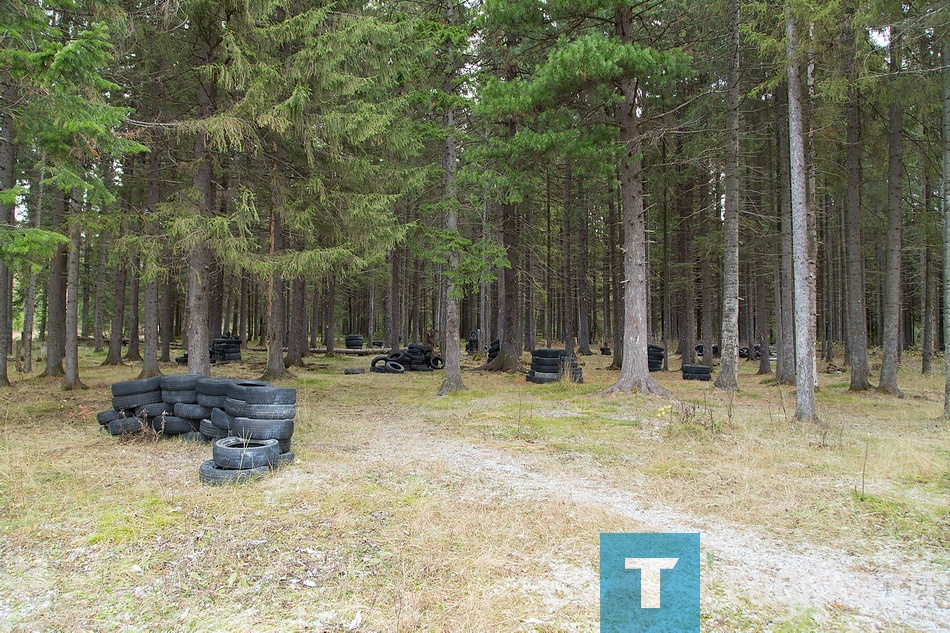В лесу у "Спартака"