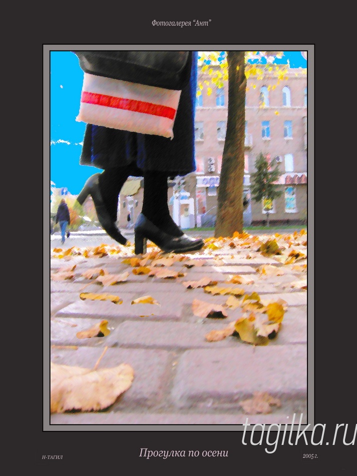 Золото осени
