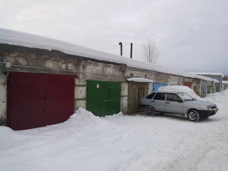 В Нижнем Тагиле собака просидела запертой в гараже больше недели