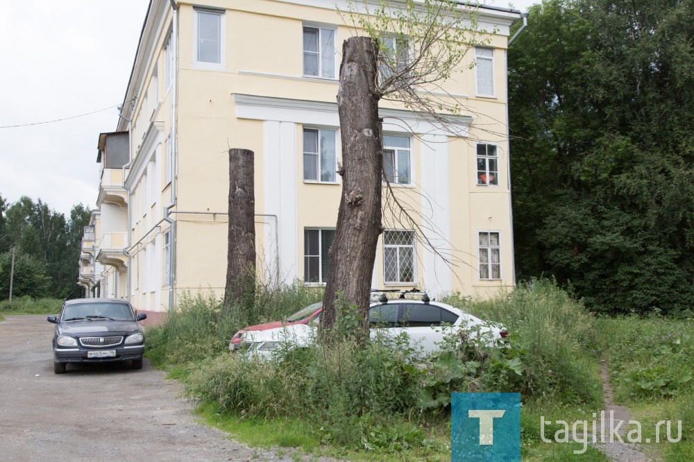 Тагильчане против ям и закладок