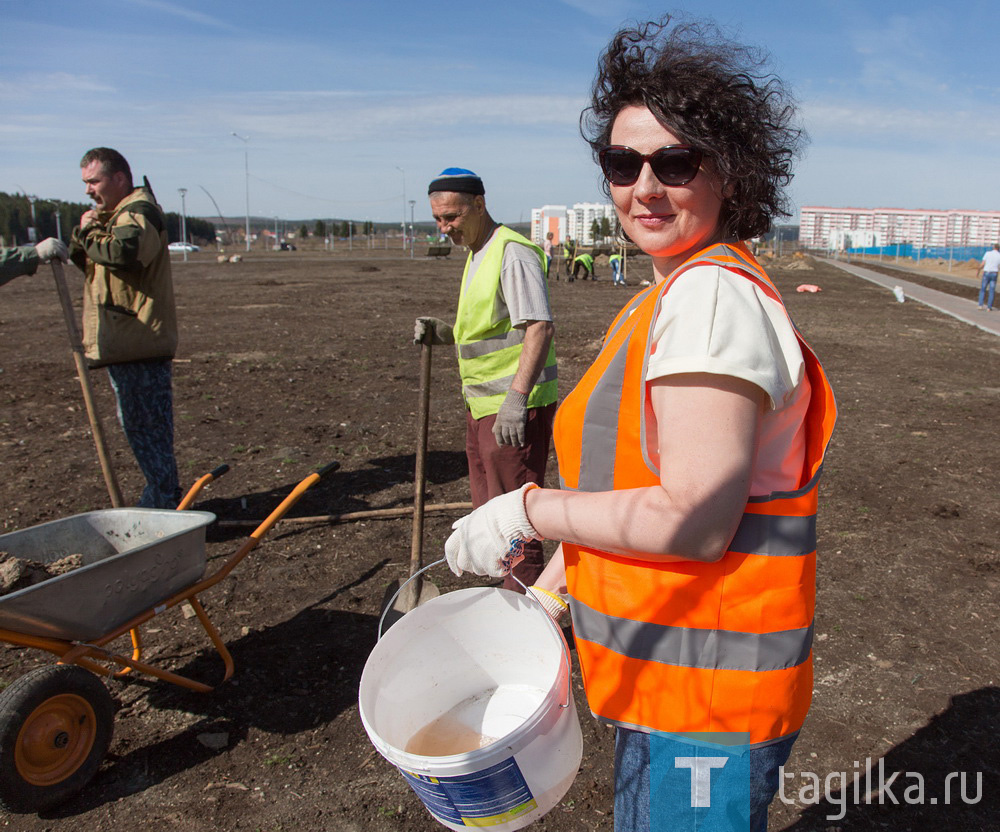 Парк на Муринских прудах в Нижнем Тагиле озеленят