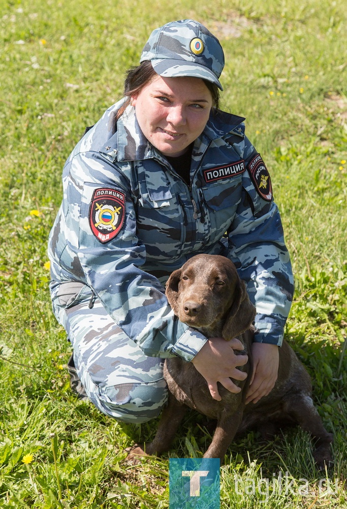 Подходя к следующему вольеру, наш экскурсовод не скрывает улыбку. В первую очередь свою хозяйку, а потом уже и нас встречает русский спаниель с грустными глазами по кличке Бубель-Гум, а по-простецки – Бублик. Семилетний Бублик – Дашин пес, работают в паре. Собака ищет наркотические и психотропные вещества. На мой дилетантский вопрос: правда ли, что собакам дают реальные наркотики, чтобы натаскать их, Даша отвечает: ерунда, на занятиях используются имитаторы – вещества со схожими запахами. 