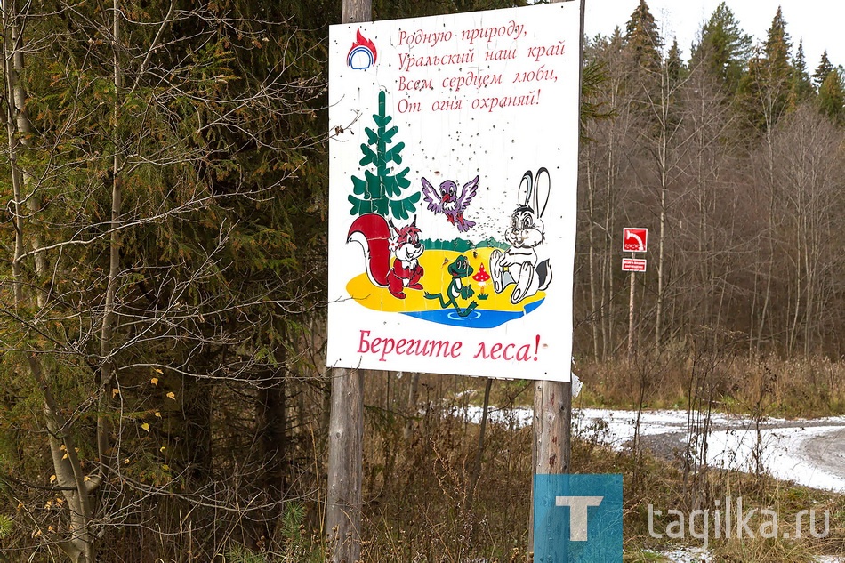 В лесу у "Спартака"