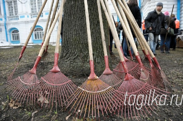 Завтра - общегородской субботник на Старателе