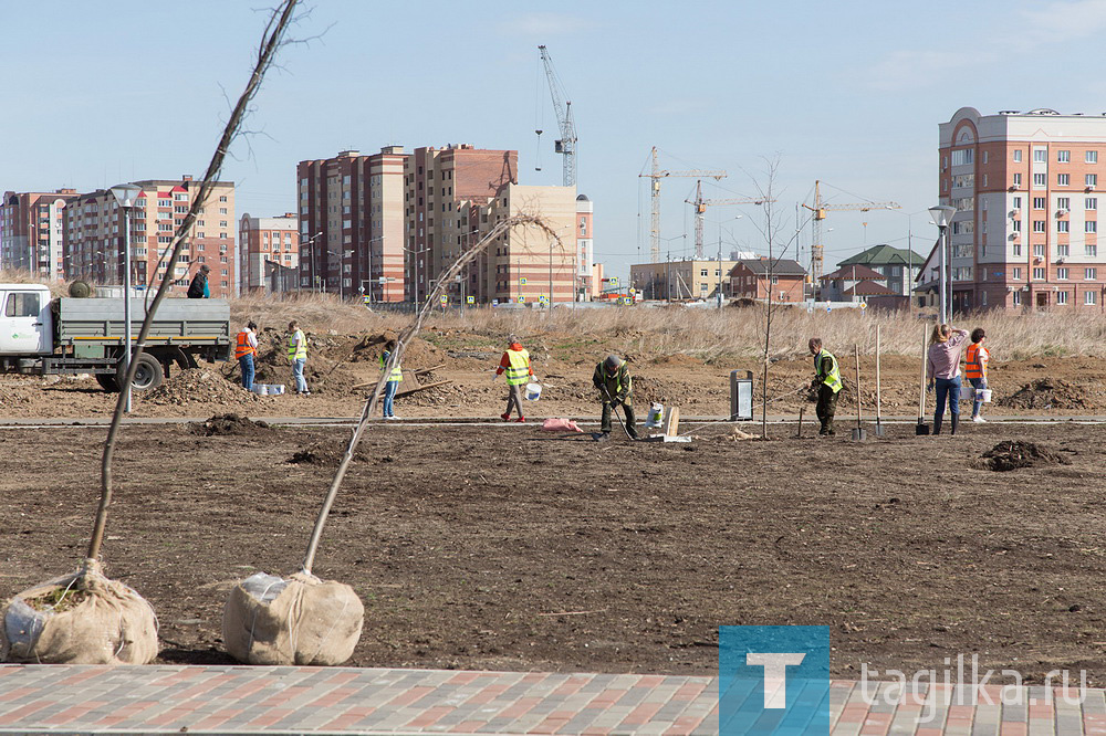 Парк на Муринских прудах в Нижнем Тагиле озеленят